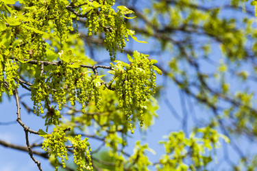 Similar image 21129440