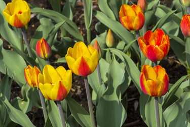 Similar image 21129441