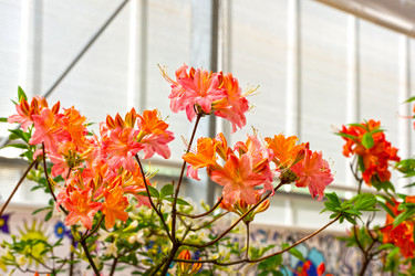 Similar image 21129443