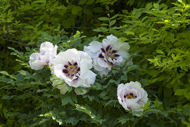 Similar image 21129444