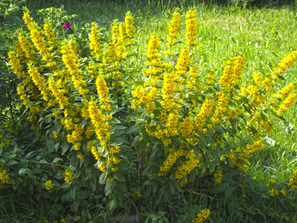 Similar image 21130143