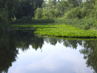 Similar image 21130144