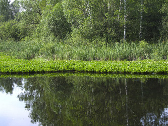 Similar image 21130145