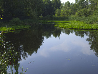 Similar image 21130146