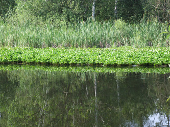 Similar image 21130147