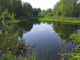 Similar image 21130148