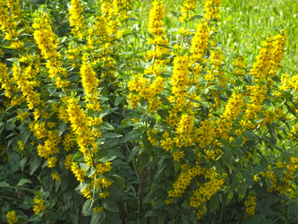 Similar image 21130150