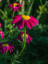 Similar image 21130151