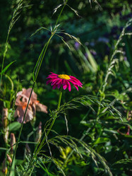 Similar image 21130152