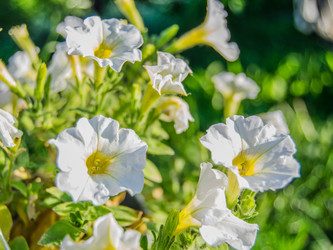 Similar image 21130153