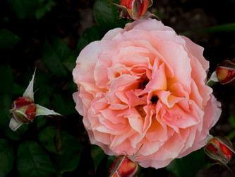 Similar image 21130157