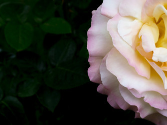 Similar image 21130162