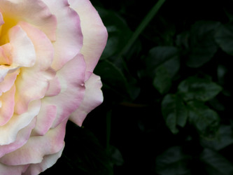 Similar image 21130163