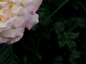 Similar image 21130164