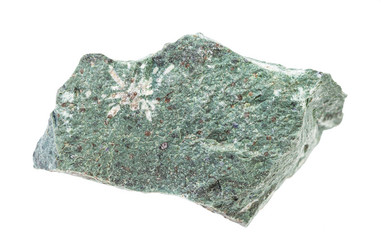 Similar image 21132920