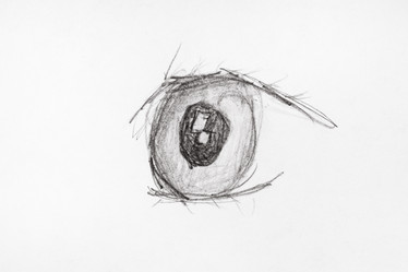 Similar image 21156110