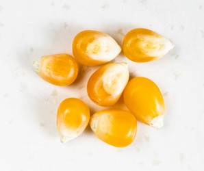 Similar image 21142485