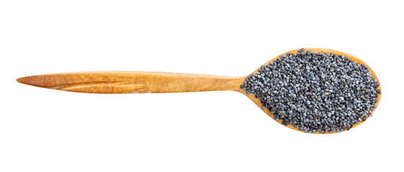 Similar image 21142500