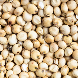 Similar image 21132989