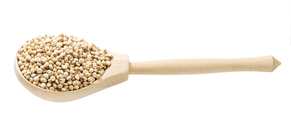 Similar image 21132991