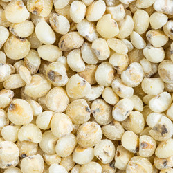 Similar image 21142503