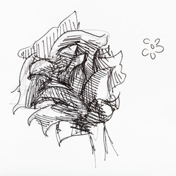 Similar image 21156319