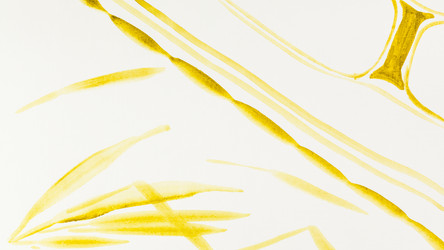 Similar image 21133393