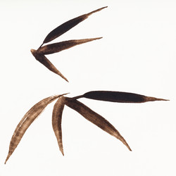 Similar image 21142538