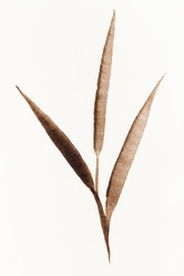 Similar image 21142539