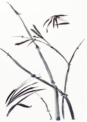 Similar image 21142543