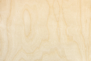 Similar image 21156134