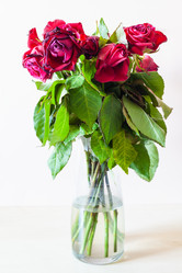 Similar image 21142550