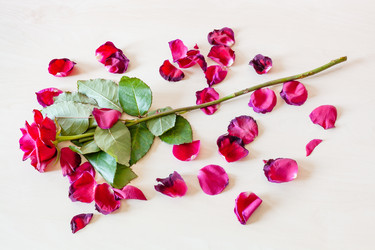 Similar image 21152017