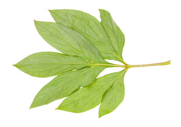 Similar image 21155731