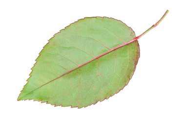 Similar image 21155831