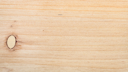 Similar image 21133403