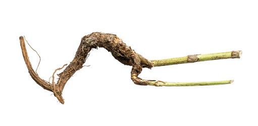 Similar image 21142588