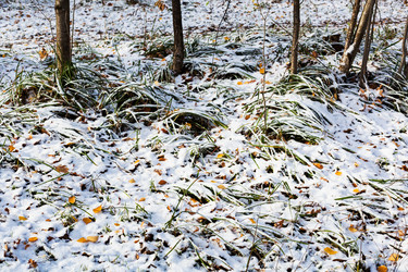 Similar image 21152134