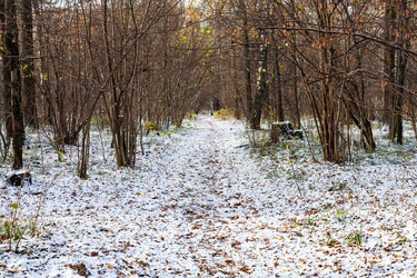 Similar image 21152139