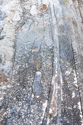 Similar image 21156034