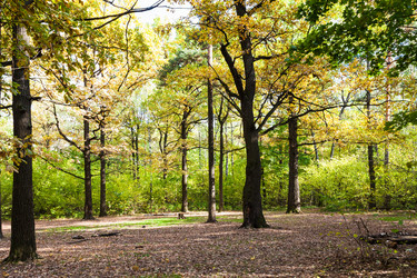 Similar image 21156038