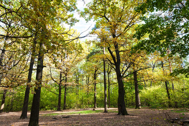 Similar image 21156039