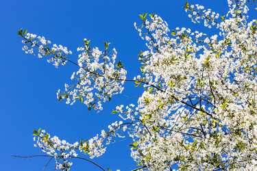 Similar image 21152147