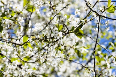 Similar image 21155617