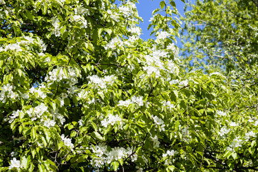 Similar image 21155738