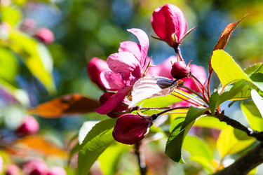 Similar image 21155739