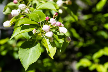 Similar image 21155940