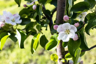 Similar image 21156043