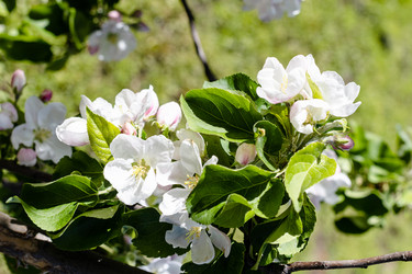 Similar image 21156147