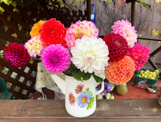 Similar image 21156149